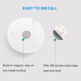 Mini Motion Activated Wall Light