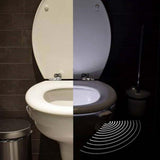 8 Colors LED Toilet Light